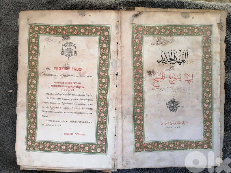 Vincentius Bracco 1878 bible 3