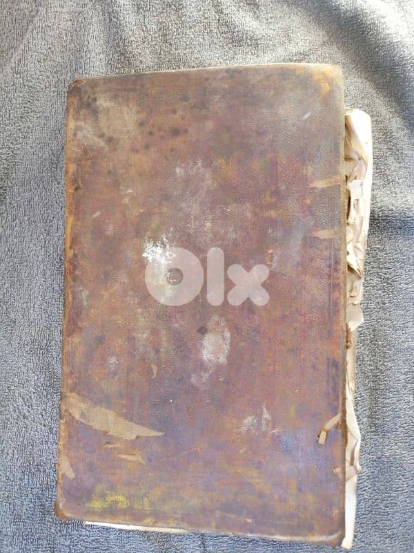 Vincentius Bracco 1878 bible 5