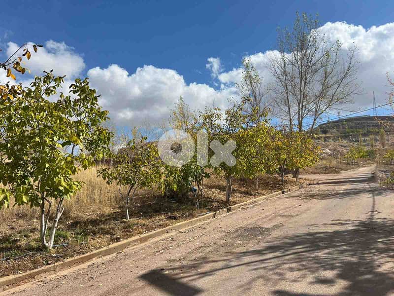 Land For Sale In Laklouk | Individual Land | أرض للبيع | PLS 26147 6