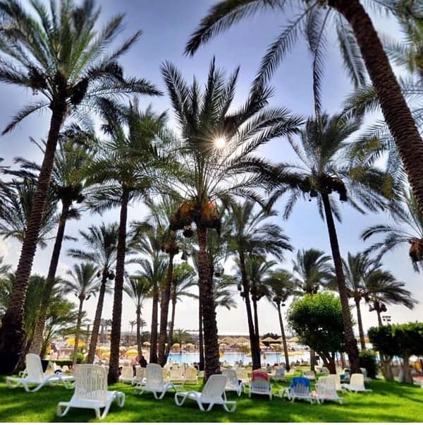 chalet rent in Rimal , Bloc A 4