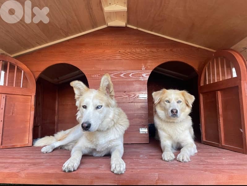 wooden dog houses 16