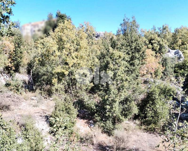 CALMEST AREA / 1100 SQM LAND IN FAITROUN -فيطرون FOR SALE ! REF#SE0135 1