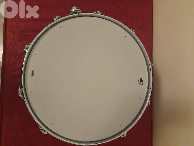 DW collector snare 3