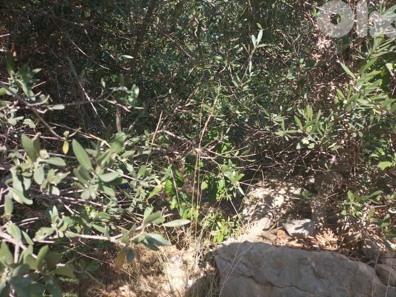 1362 SQM Land in Wadi Chahrour, Baabda Overlooking the Mountains 1