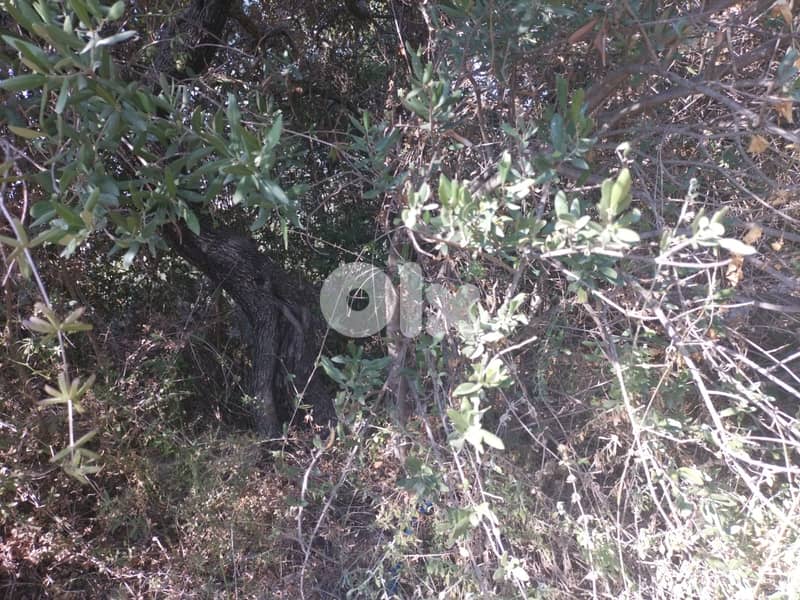 1362 SQM Land in Wadi Chahrour, Baabda Overlooking the Mountains 2