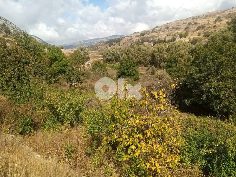 RWB123PK - Land for sale in Laklouk Jbeil 1