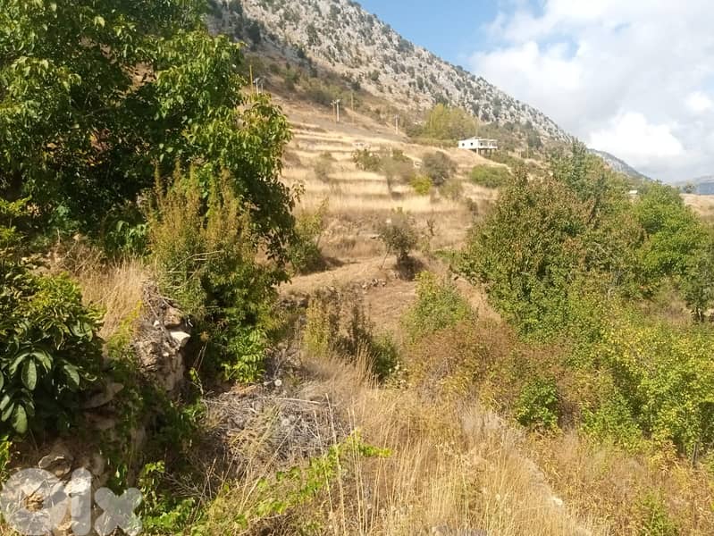 RWB123PK - Land for sale in Laklouk Jbeil 2