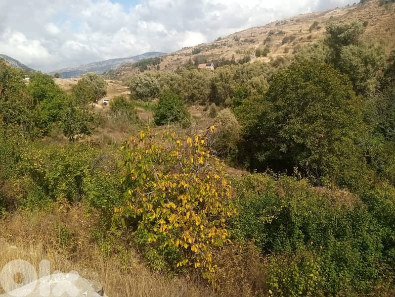 RWB123PK - Land for sale in Laklouk Jbeil 4
