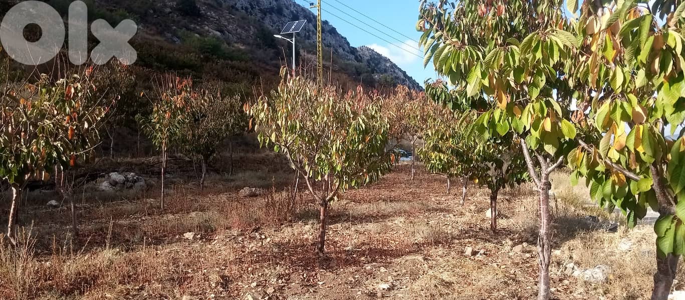 RWB125PK - Land for sale in Laklouk Jbeil 1