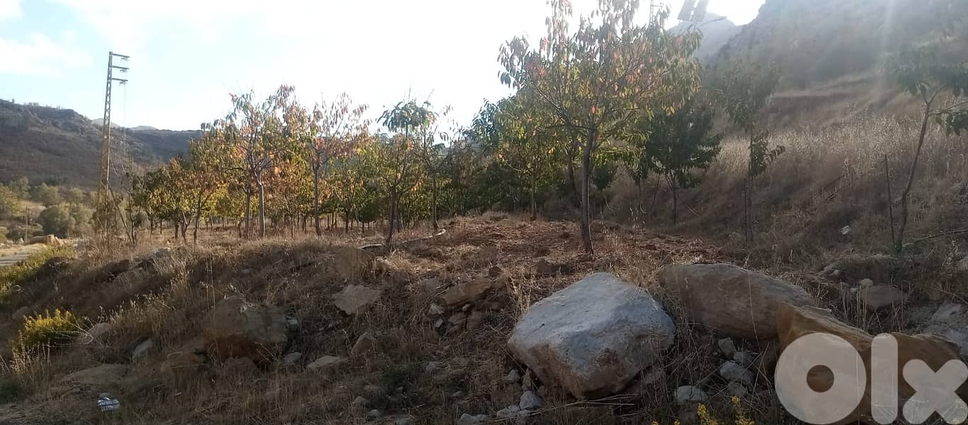 RWB125PK - Land for sale in Laklouk Jbeil 4