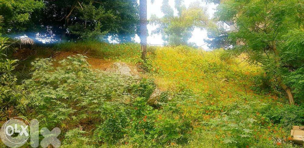 L07988 Unique Land for Sale in Sarba 0