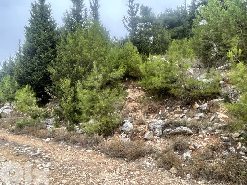 RWK381CA - Land For Sale In Kfour  - أرض للبيع في كفور 6