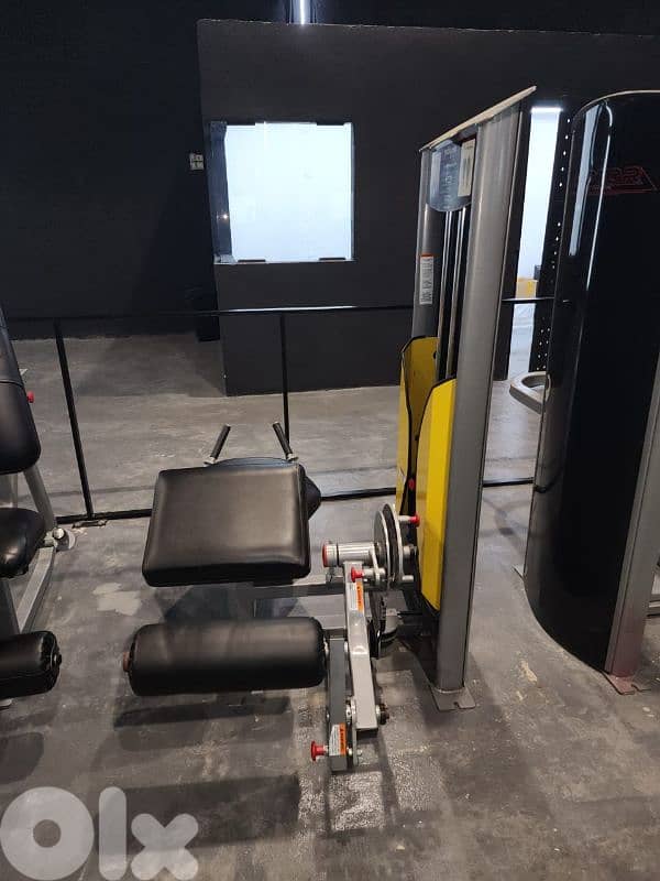 leg extension gym machine 03027072 GEO SPORT معدات نوادي رياضيه 4