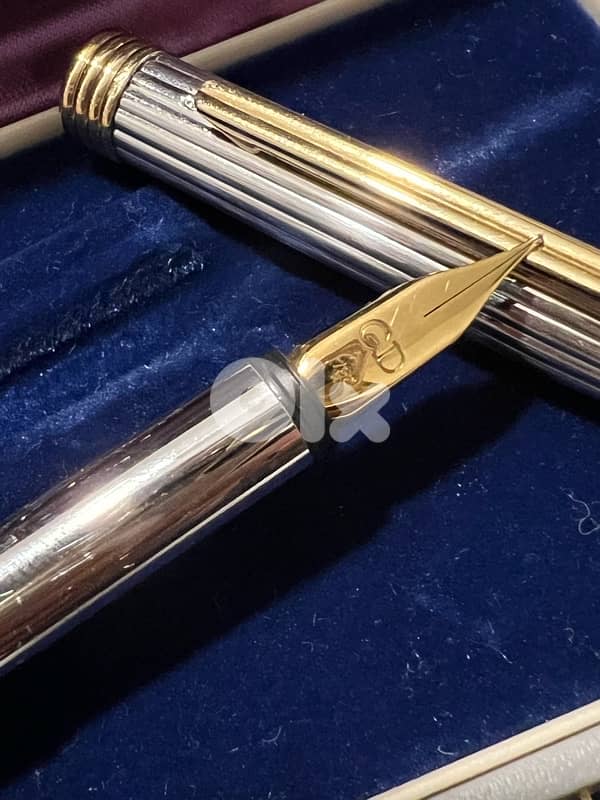 pen christian Dior 5