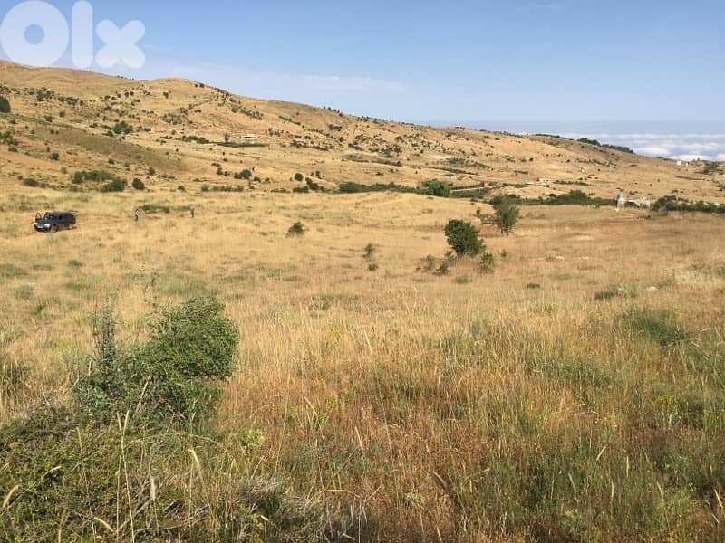 ارض مسطحة في حدث الجبة قضاء بشري 3