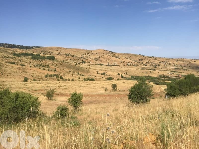 ارض مسطحة في حدث الجبة قضاء بشري 5