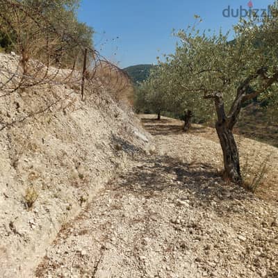 Land for sale in Kfarhay-Batroun ارض للبيع في كفرحي - البترون
