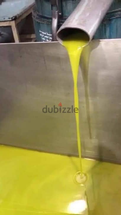 زيت زيتون عصر على الحجر - صنع عكار - عصر تشرين الأول 1