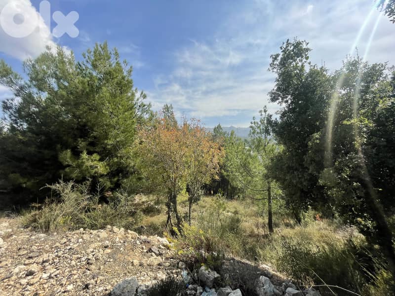 RWK284CA - Land For Sale In Ghineh With An Amazing Mountain View 0