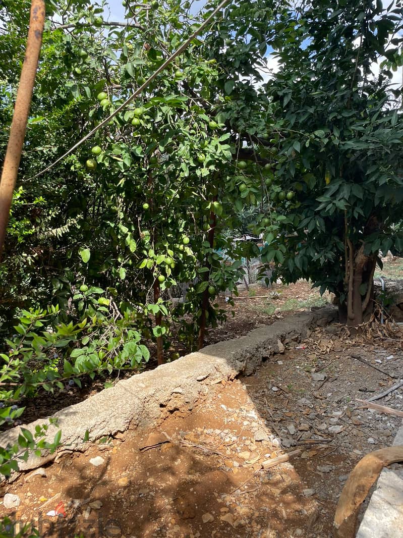 Land for sale in Mazraat Yachouh ارض للبيع في مزرعة يشوع 1