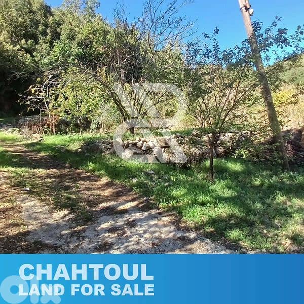 Land for sale at Chahtoul - أرض للبيع في شحتول 3