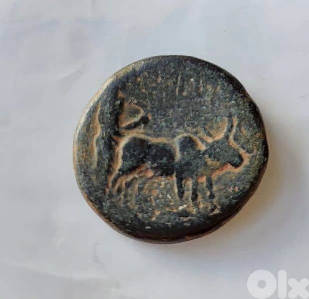 Ancient Roman Bronze coin  Emperor Titus, 79_81AD. 1