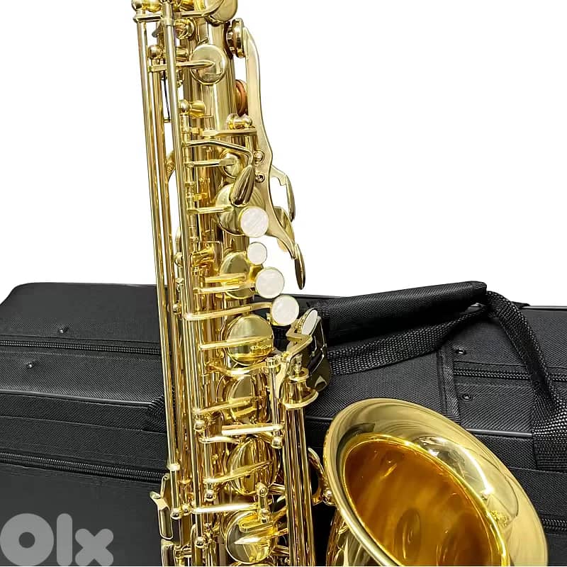Aiersi AS-201 Alto Saxophone 2