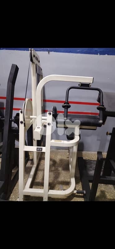 Life Fitness triceps machine used 700$ 0