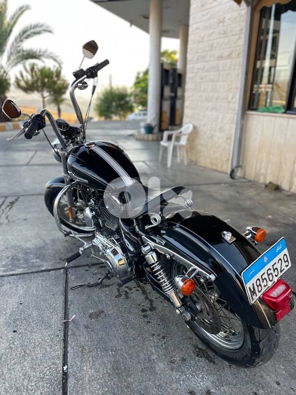 sportster 1200 XL 5