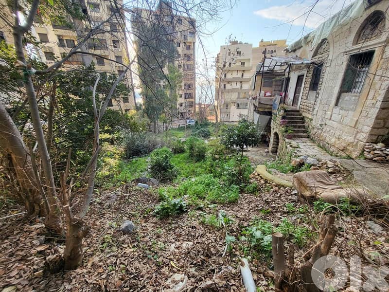 L16452-Land with Old House For Sale in Sahel Alma 1