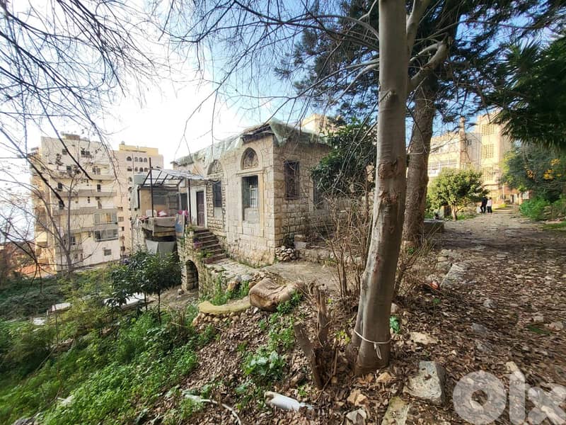 L16452-Land with Old House For Sale in Sahel Alma 2