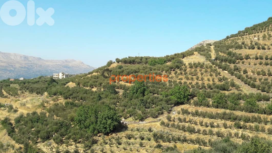 Payment Facility,Land For Sale In Laqlouq Jbeil CPJJA86 0