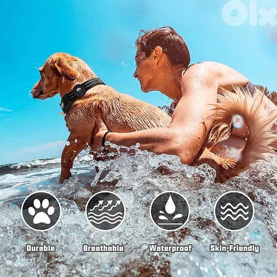 Elevate your pet's safety and your peace of mind with our Collar Dog 3