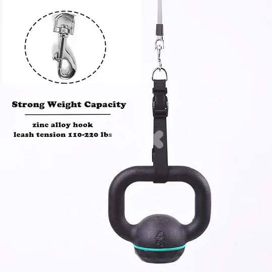 Stylish Waterproof Leash 1