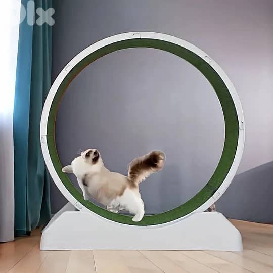 Silent Treadmill Running Wheel for Cats and Small Dogs 3