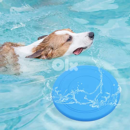 Bite Resistant Flying Disc 1