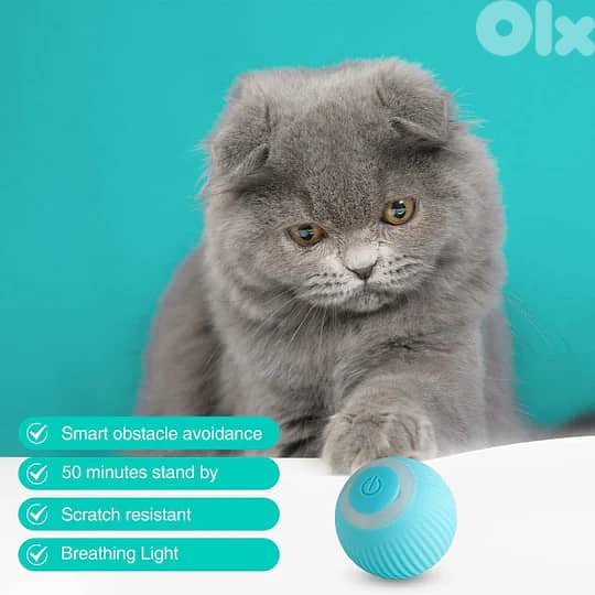 Smart Cat Ball 2