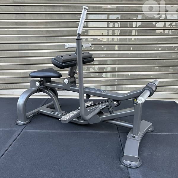 FG SEATED CALF RAISE 0