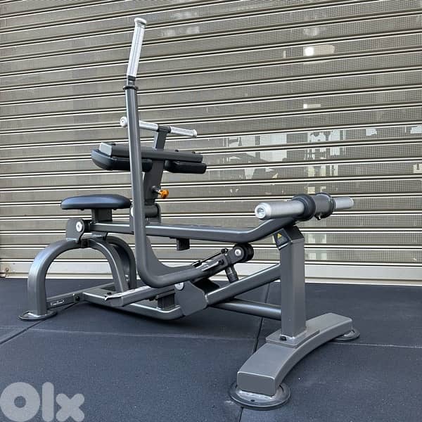 FG SEATED CALF RAISE 1