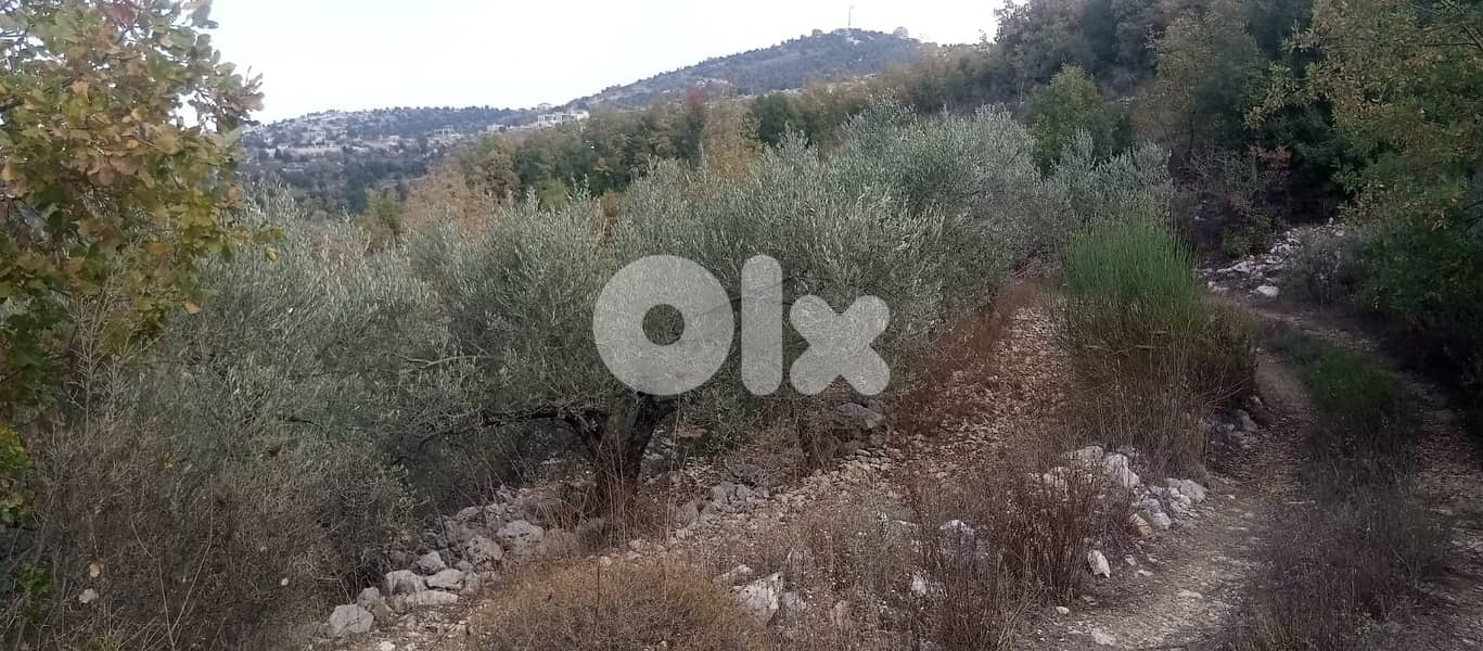 RWB135PK - Land for sale in Mechmech Jbeil 0