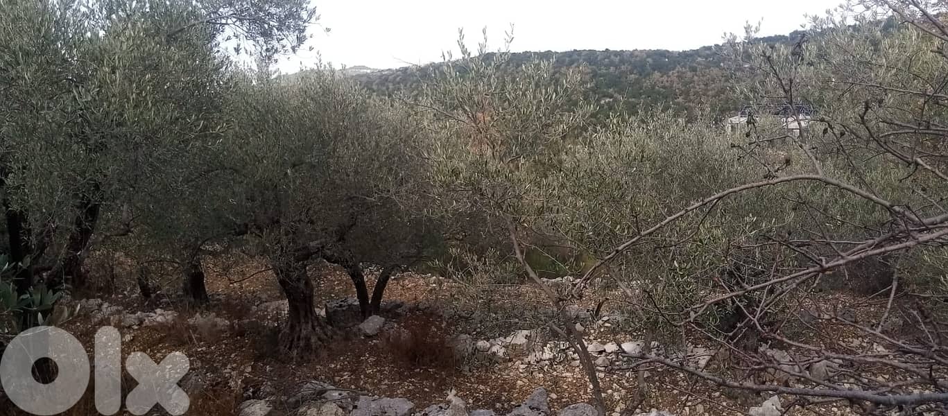 RWB135PK - Land for sale in Mechmech Jbeil 1