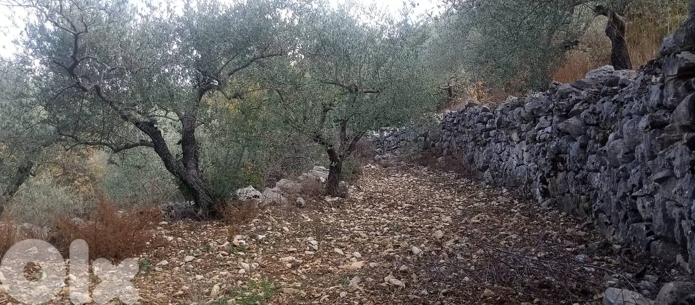 RWB135PK - Land for sale in Mechmech Jbeil 2
