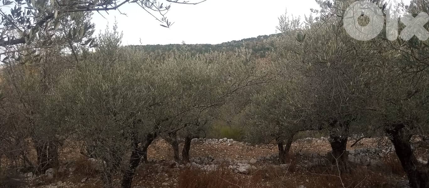 RWB135PK - Land for sale in Mechmech Jbeil 4
