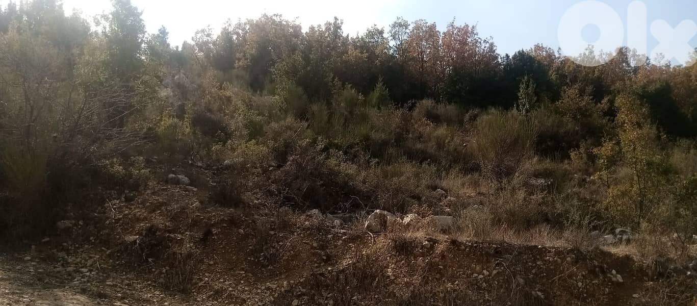 RWB136PK - Land for sale in Mechmech Jbeil 2