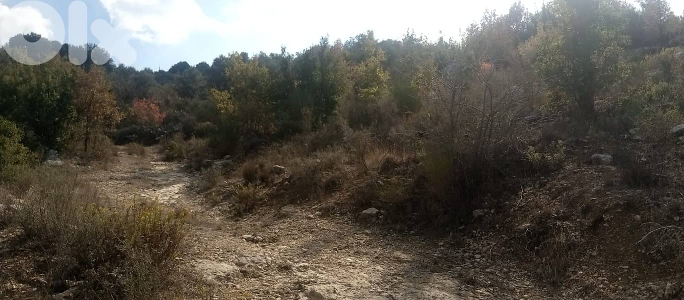 RWB136PK - Land for sale in Mechmech Jbeil 4