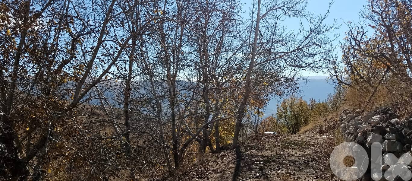 RWB141PK - Land for sale in Laklouk ( Akoura ) - Jbeil 0