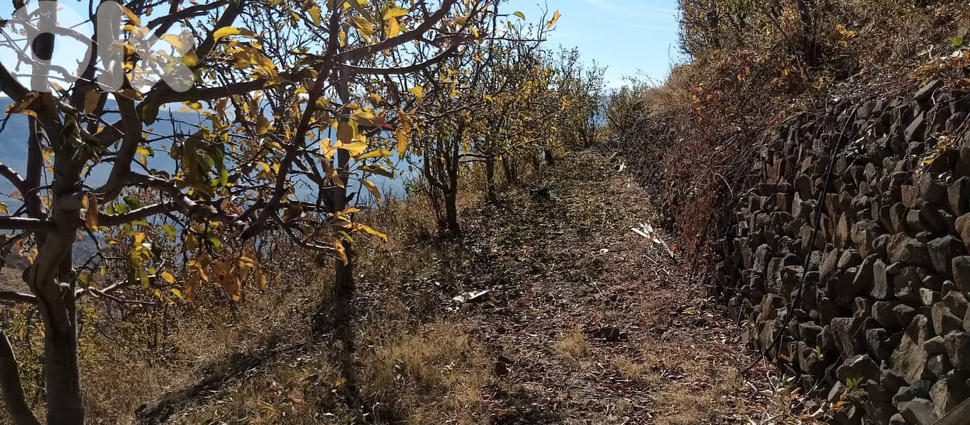 RWB141PK - Land for sale in Laklouk ( Akoura ) - Jbeil 1