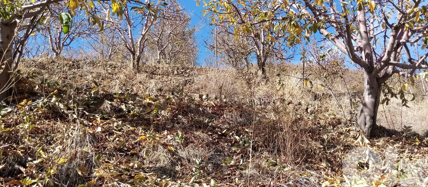 RWB141PK - Land for sale in Laklouk ( Akoura ) - Jbeil 2