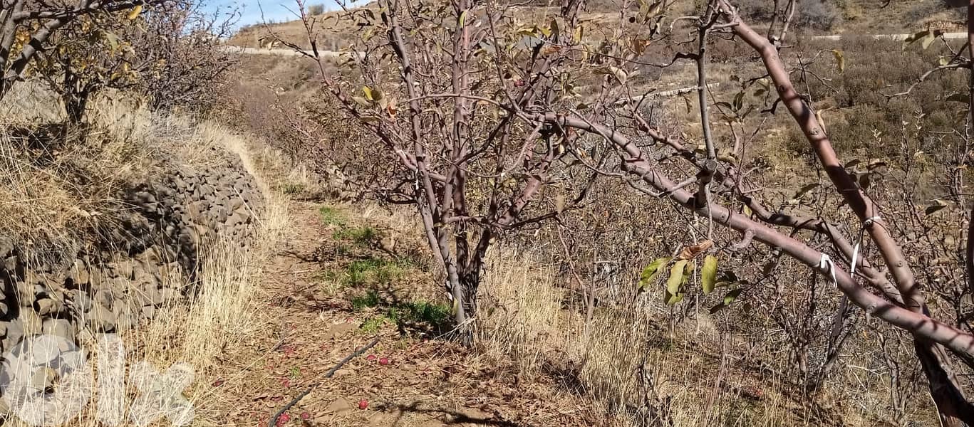 RWB141PK - Land for sale in Laklouk ( Akoura ) - Jbeil 3