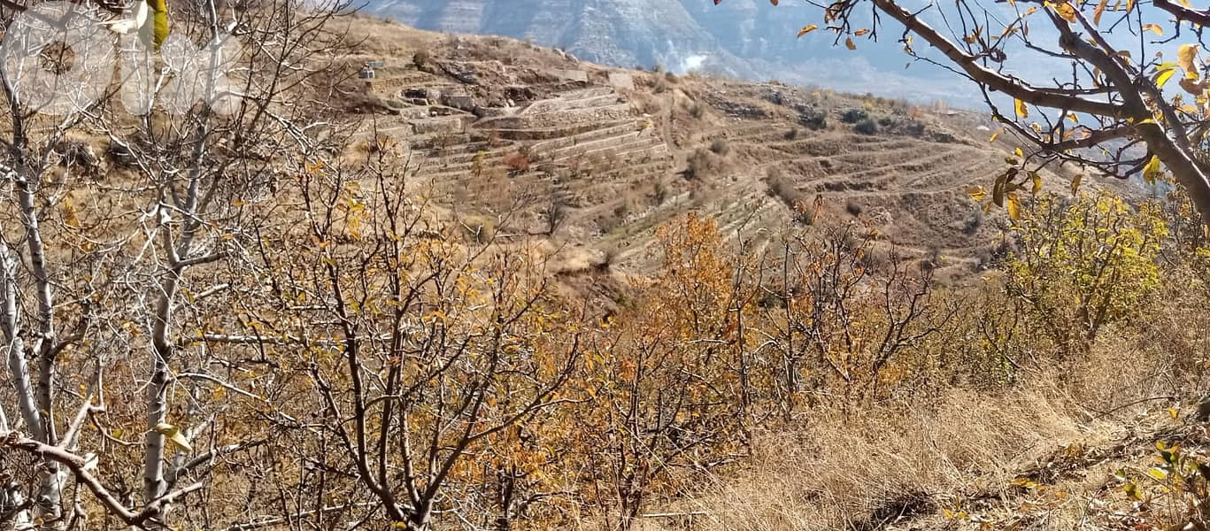 RWB141PK - Land for sale in Laklouk ( Akoura ) - Jbeil 4